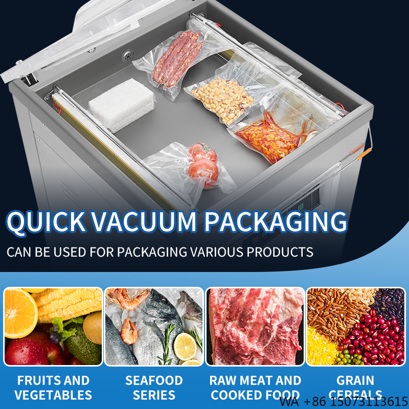 DZ-500 Vertikaler Einkammer-Le – Commercial Kitchen In Home Bewertung und Preis
